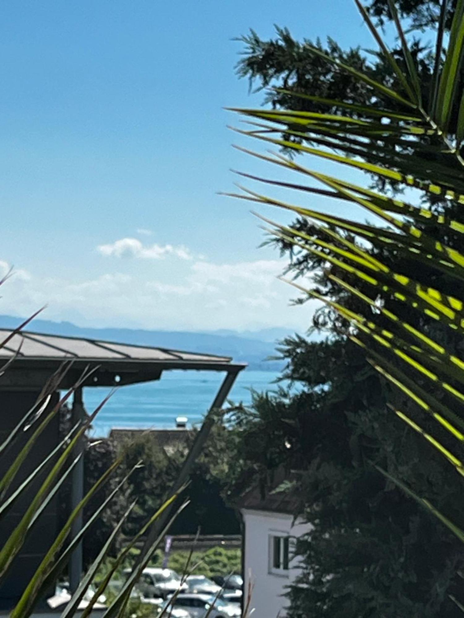 Traumhafte Ferienwohnung Mit See Und Bergsicht Friedrichshafen Luaran gambar